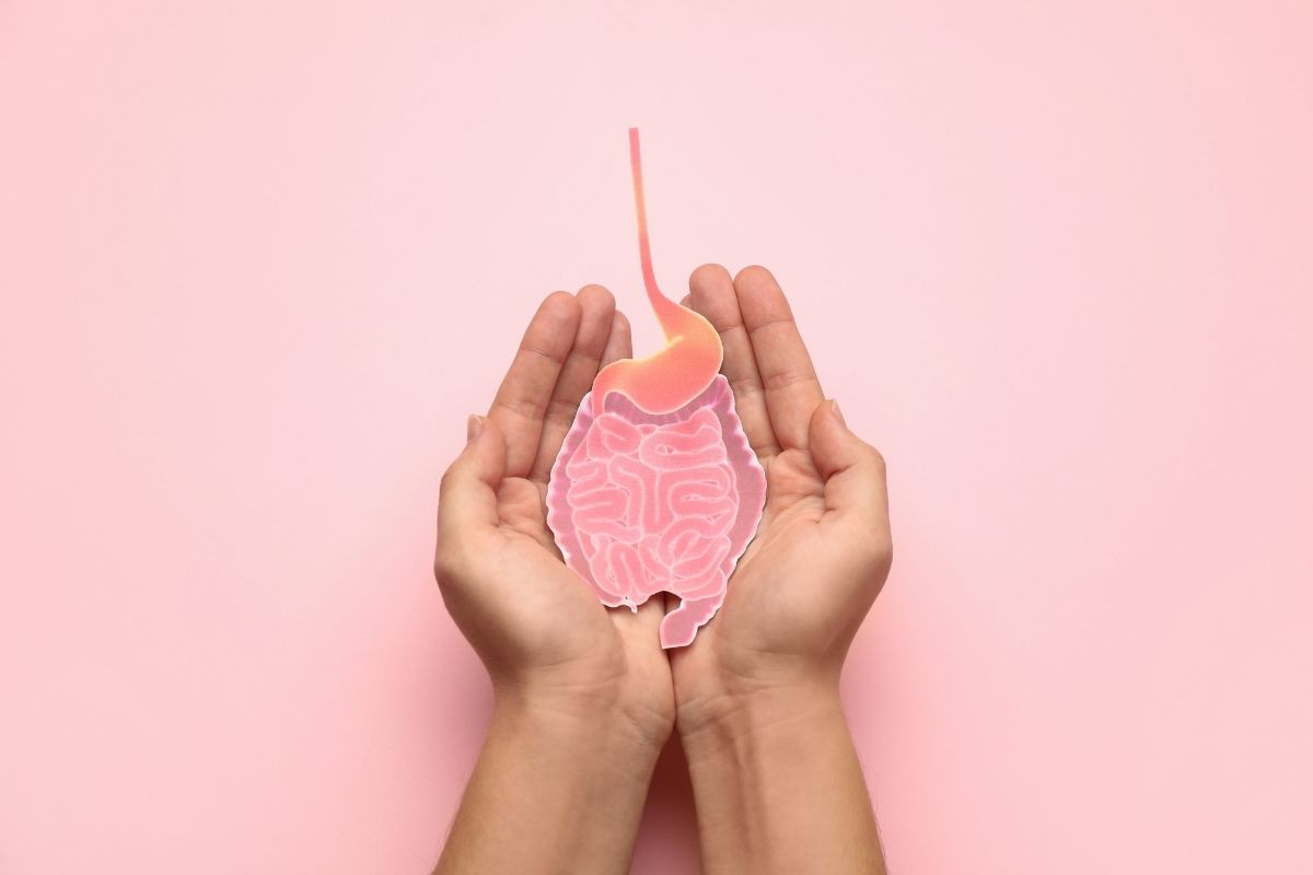 Digestive system promoting balanced gut microbiome