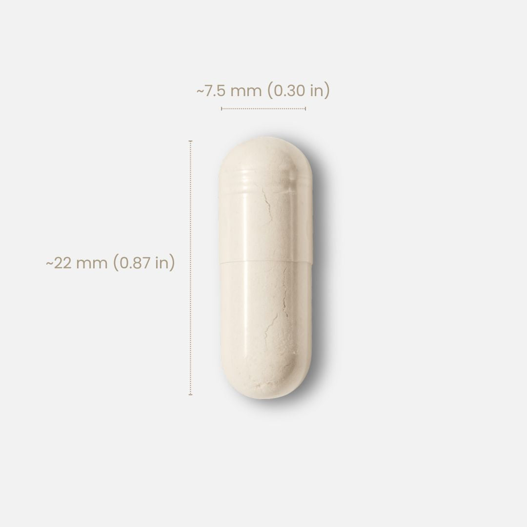 60 Billion CFU 10-Strain Probiotics