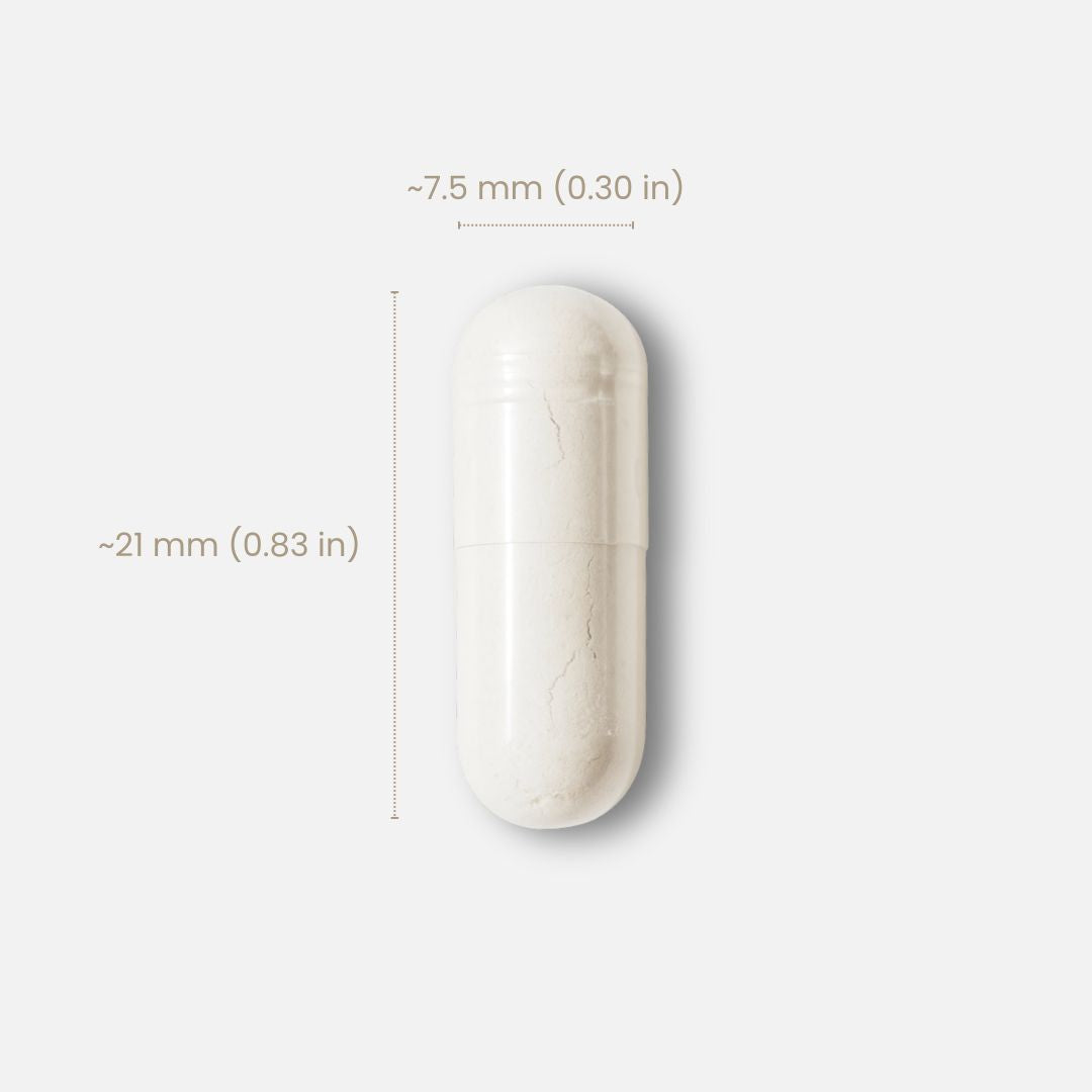 Hair Regenesis ACTRISAVE™ 250mg + SPERMIDINE 3mg