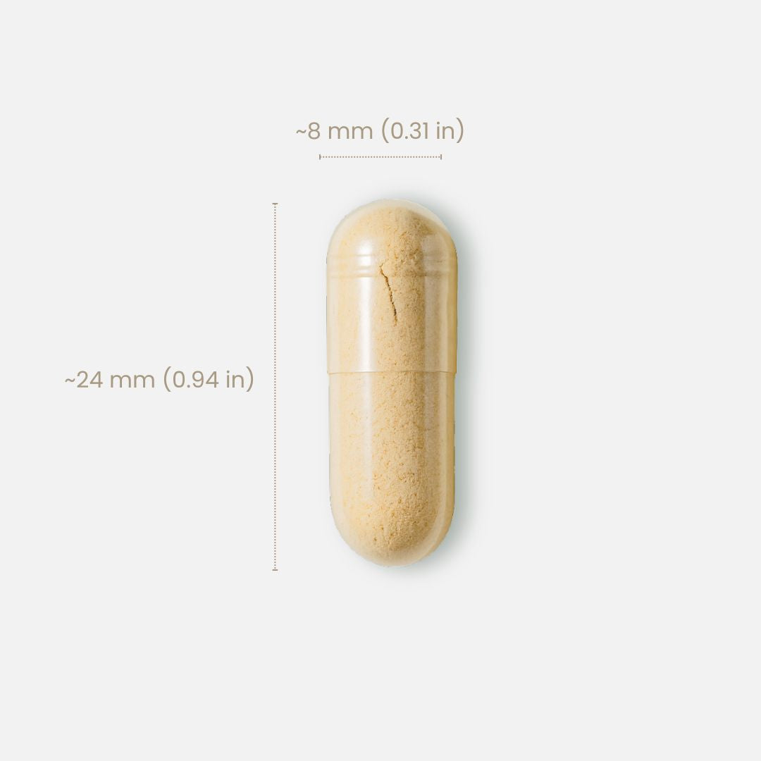Bioactive B100 + Patented PQQ