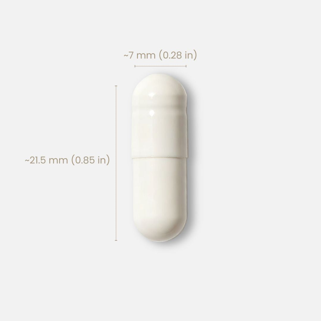Skin Probiotic