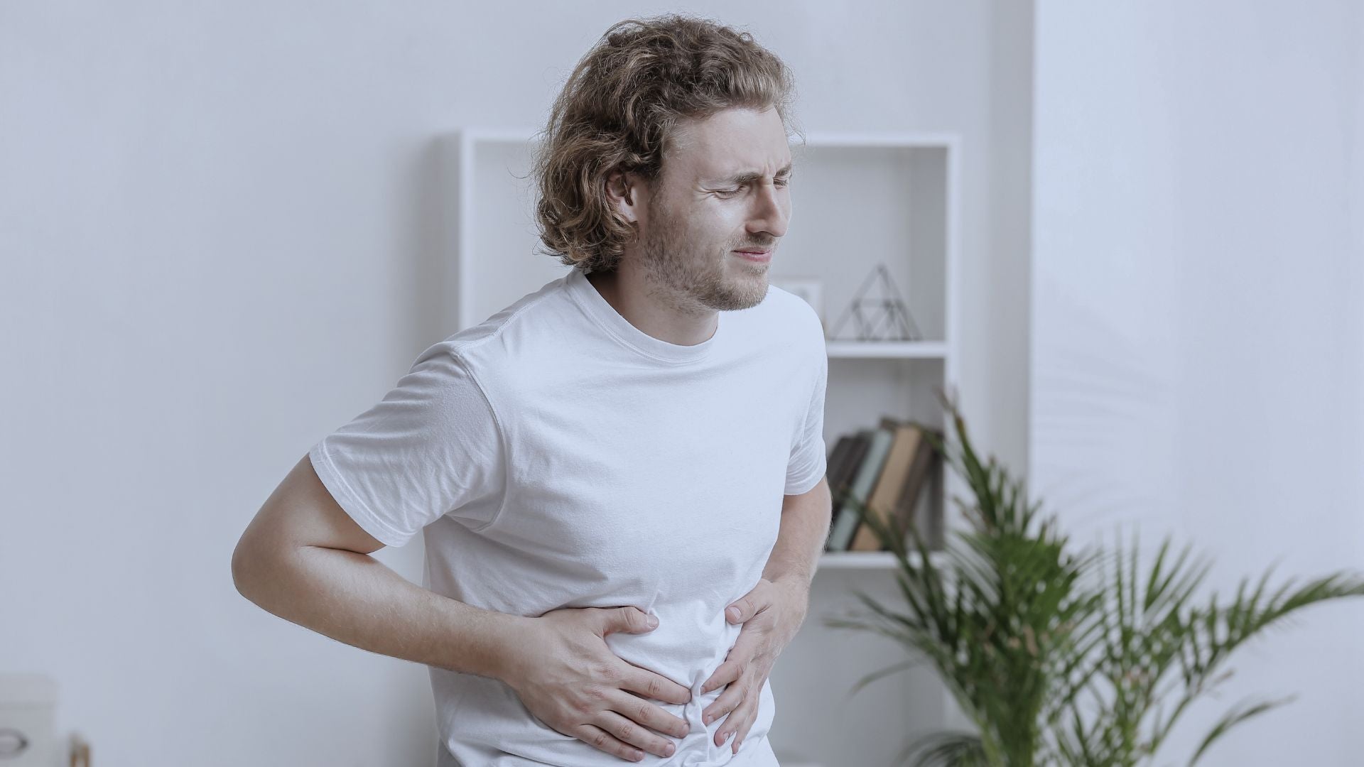 Gut Health & Immunity: Why Your Digestive System Is the Key to Overall Wellness