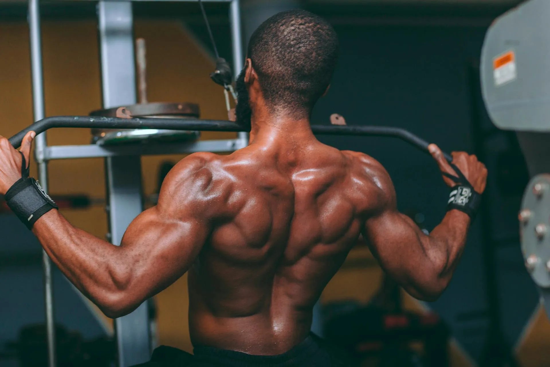 a man with toned back muscles