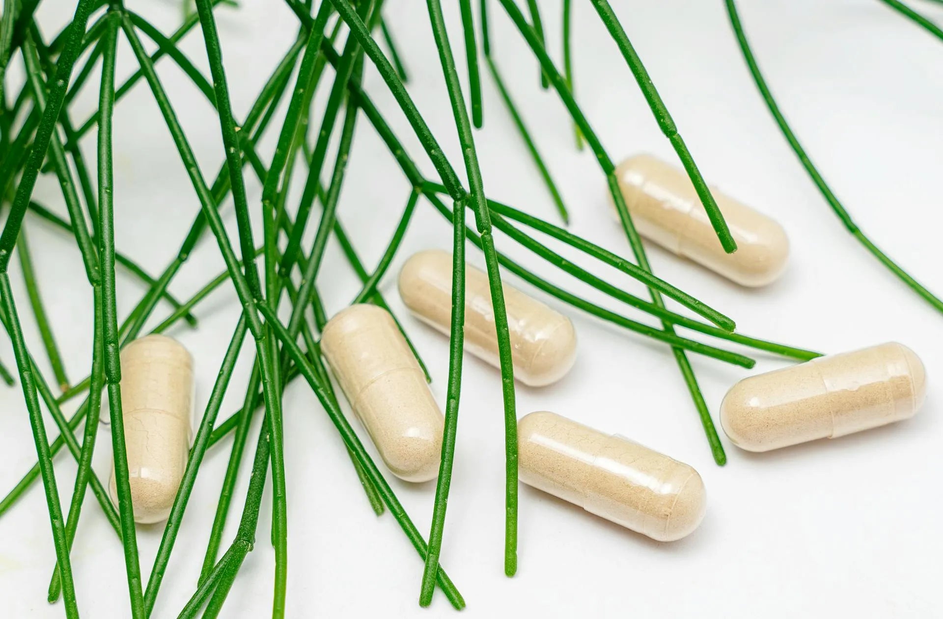 sample supplements