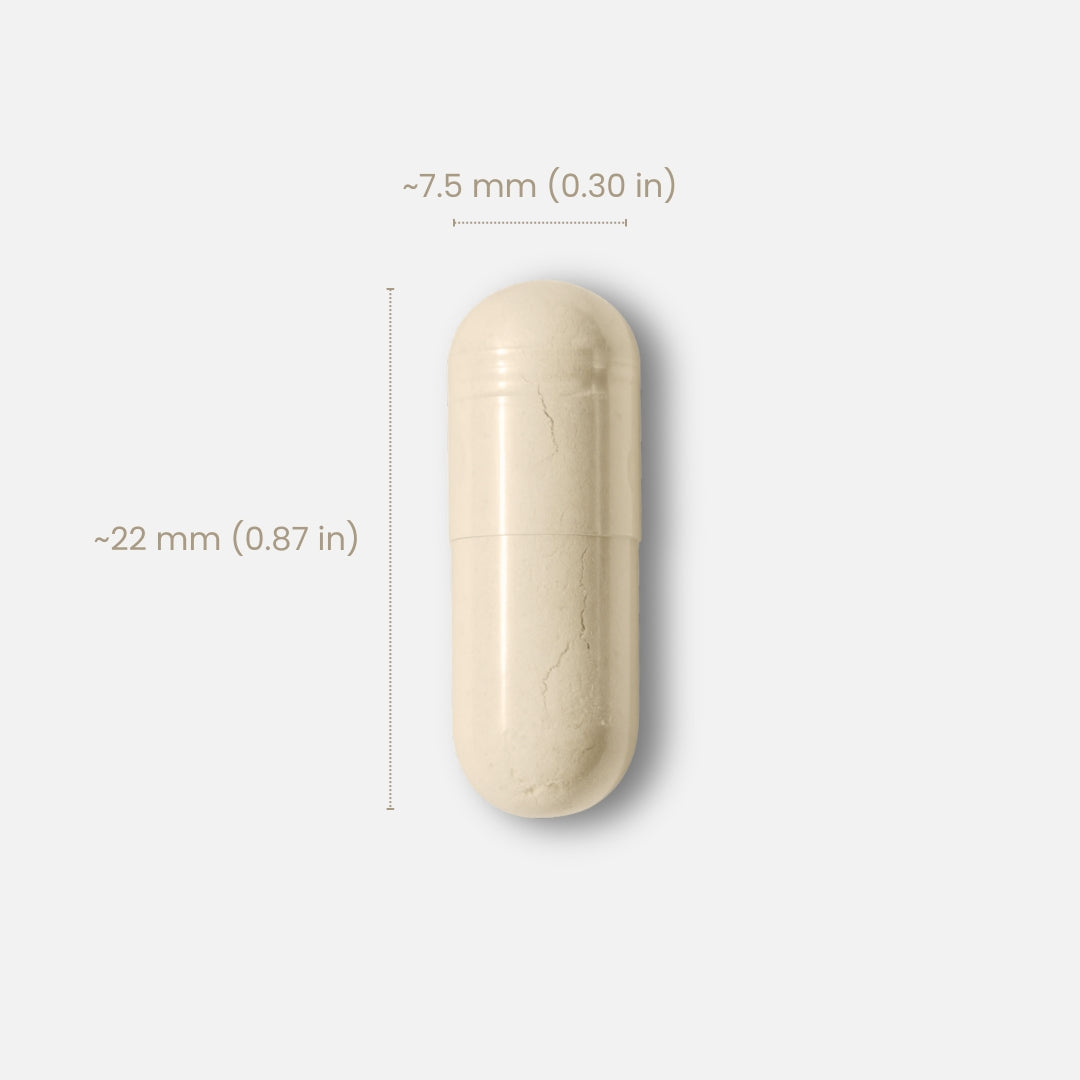 Nattokinase 12,000 FU Super Strength